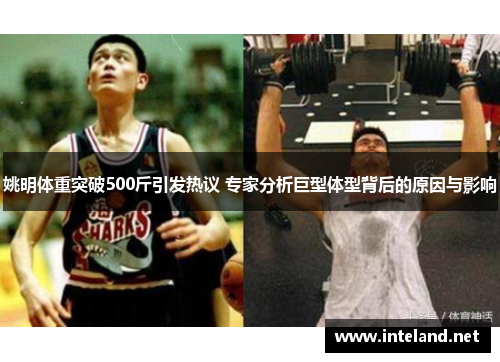 姚明体重突破500斤引发热议 专家分析巨型体型背后的原因与影响