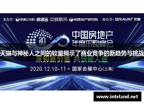 天猫与神秘人之间的较量揭示了商业竞争的新趋势与挑战